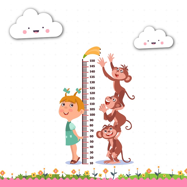 Beautiful Height Chart Wall Stickers for Kids