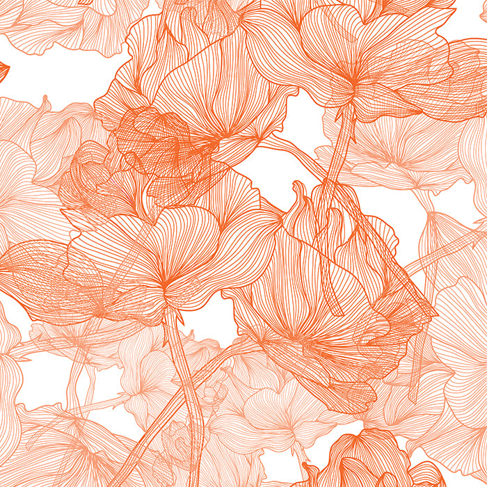 Orange Blossom Wallpaper