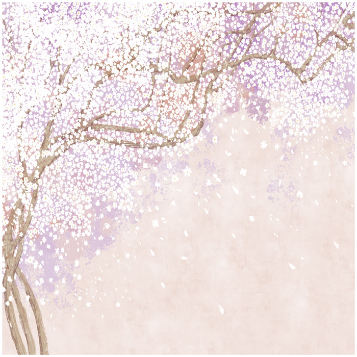 Sakura Blossom Wallpaper