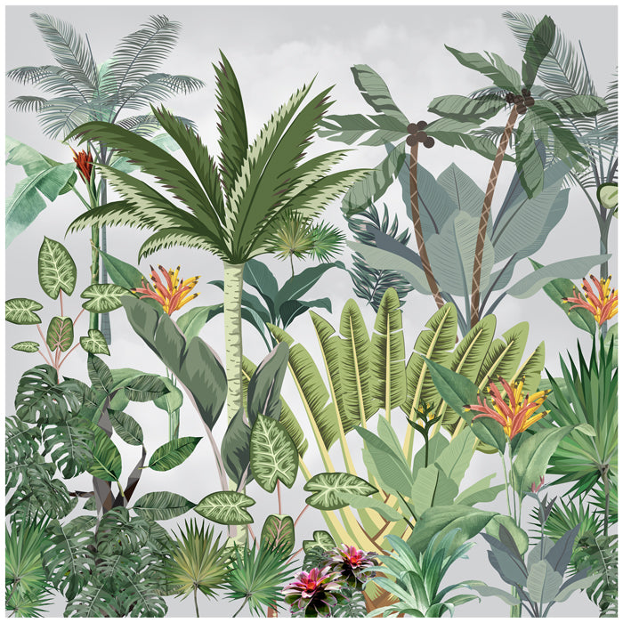 Amazon Forest Theme Wallpaper For Wall