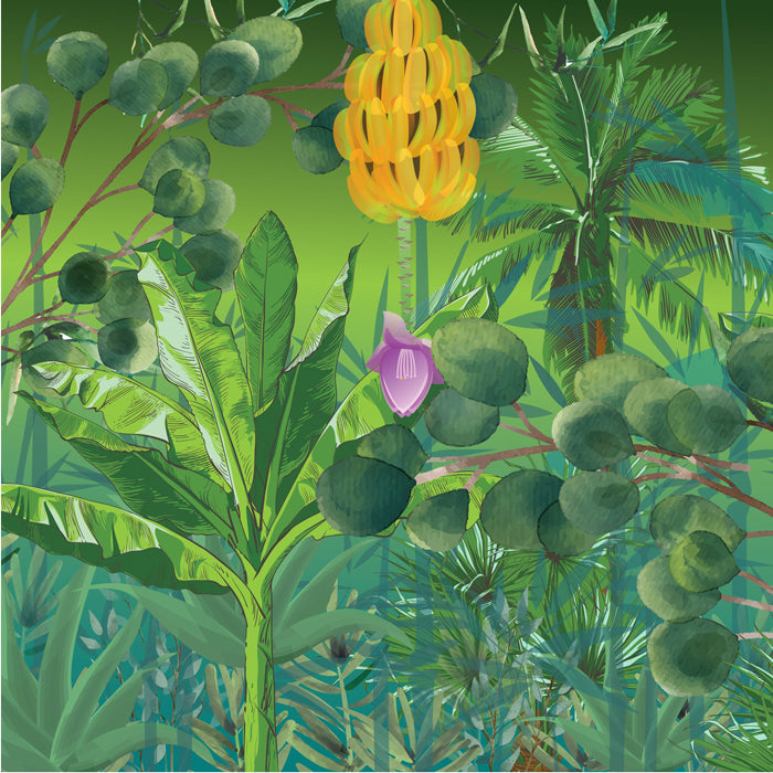 Tropical Forest Wallpaper