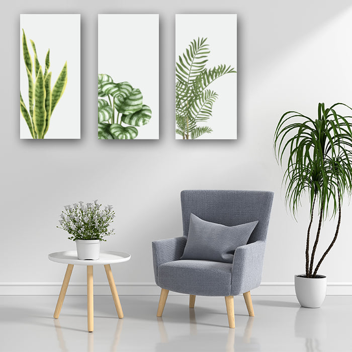 Canvas Wall Art Frame | Tropical leaves
