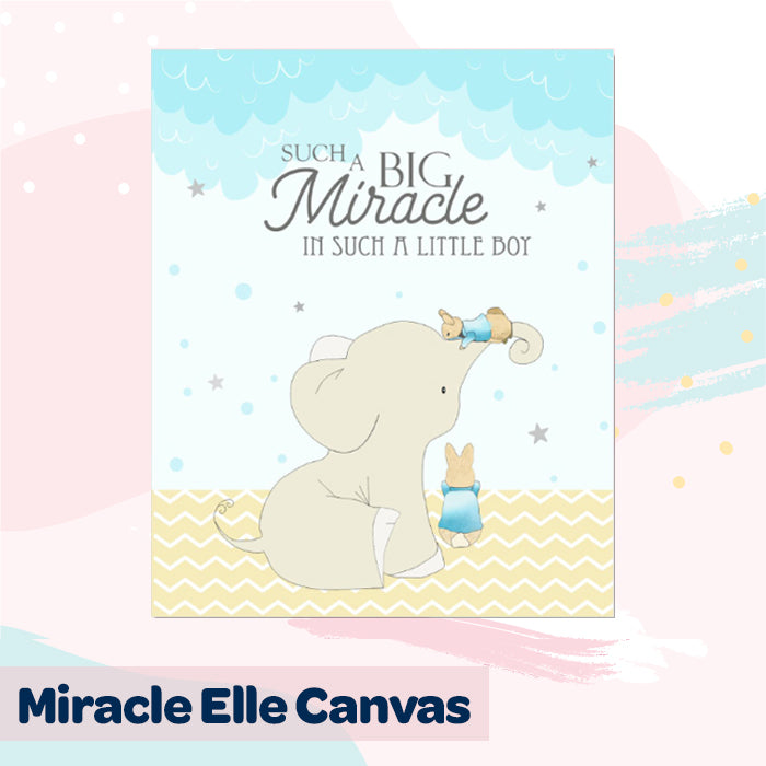 Canvas Wall Art Frame | Miracle Elle